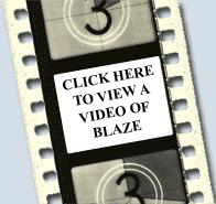 Click here to view video of Blaze Driscoll
